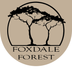 Foxdale Forest