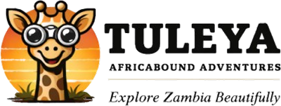Tuleya