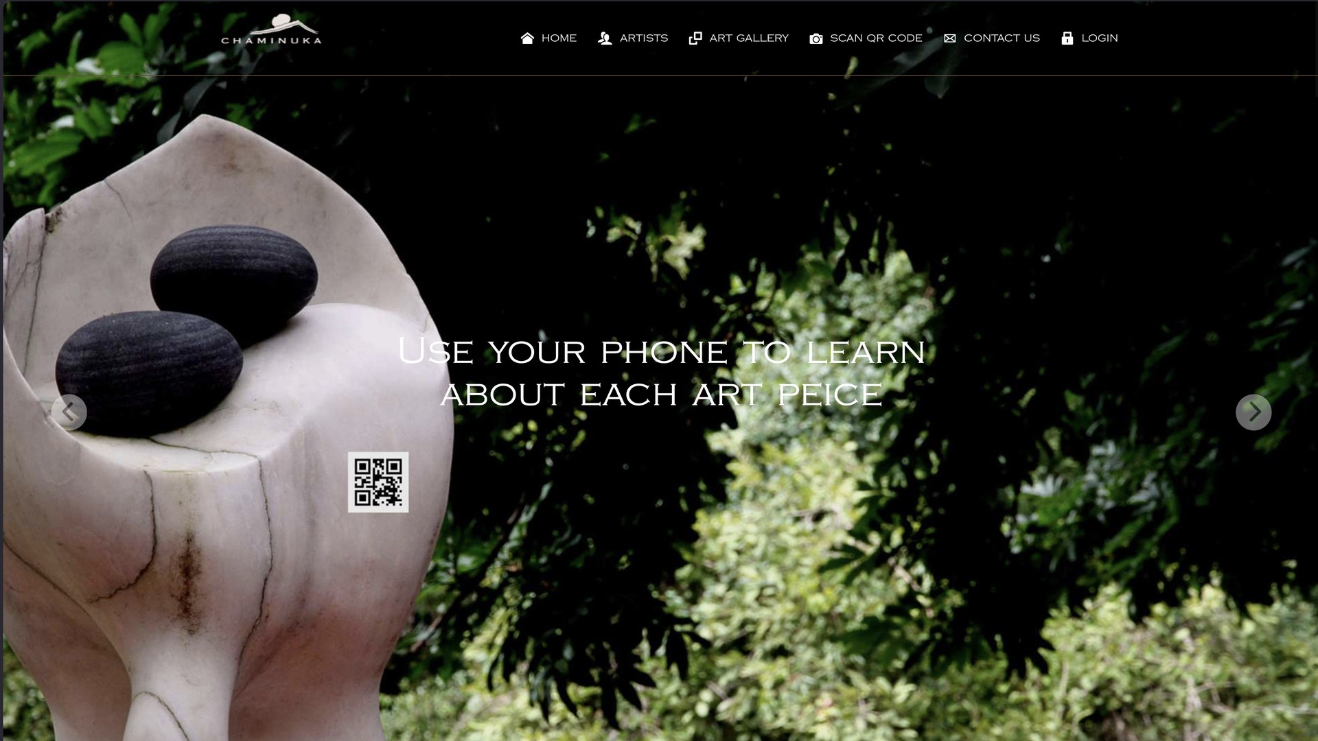 Art at Chaminuka website: full desktop homepage view