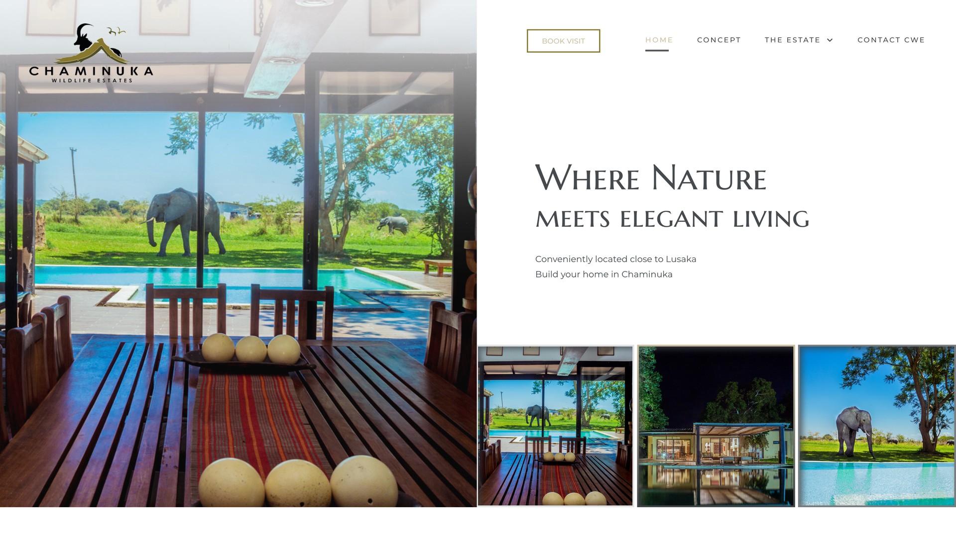 Chaminuka Estates website: full desktop homepage view